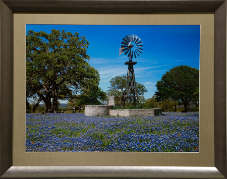 Lazy Longhorn by artist Randy Smith